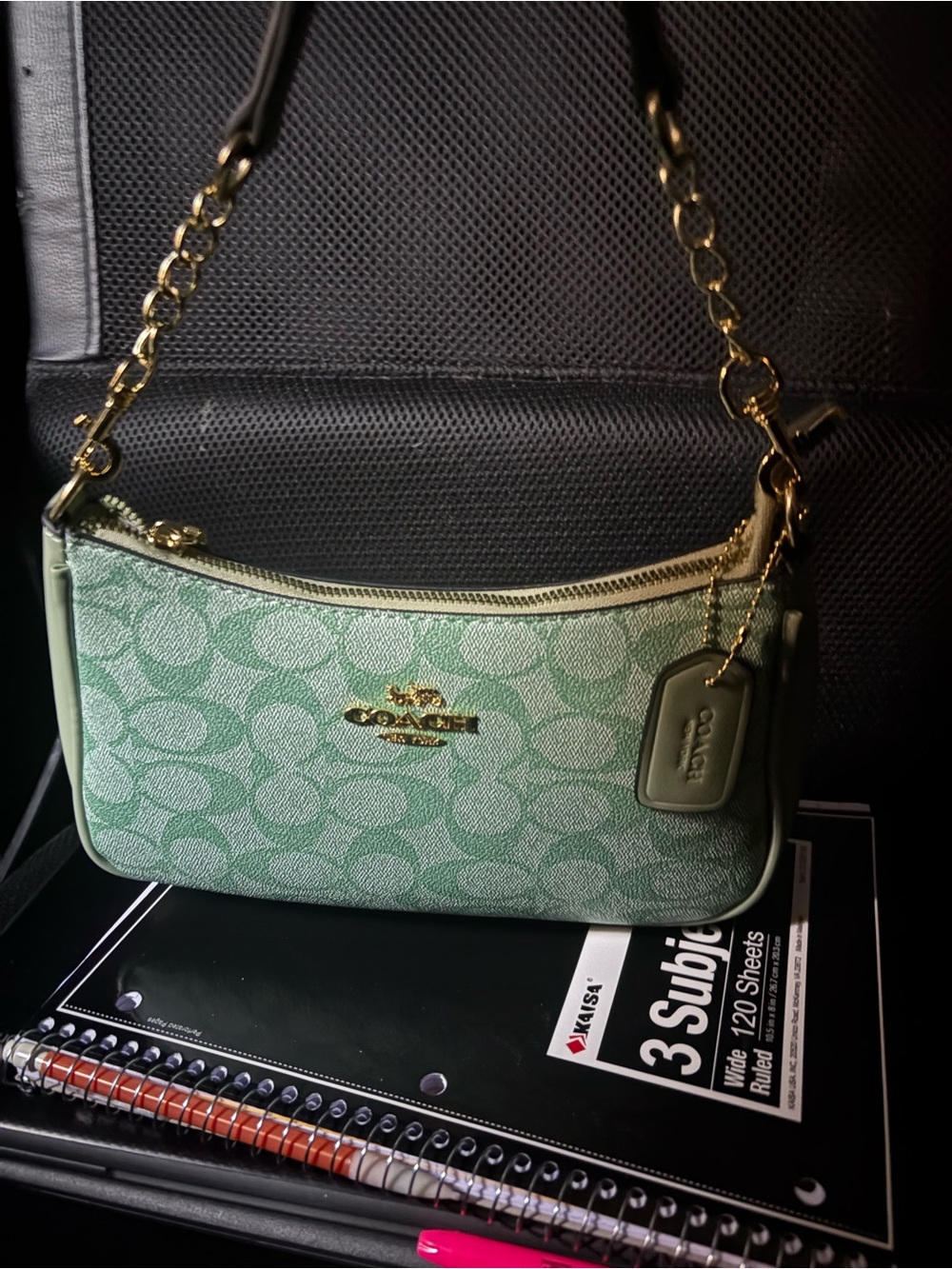 Coach Purse Bundle (2 count)